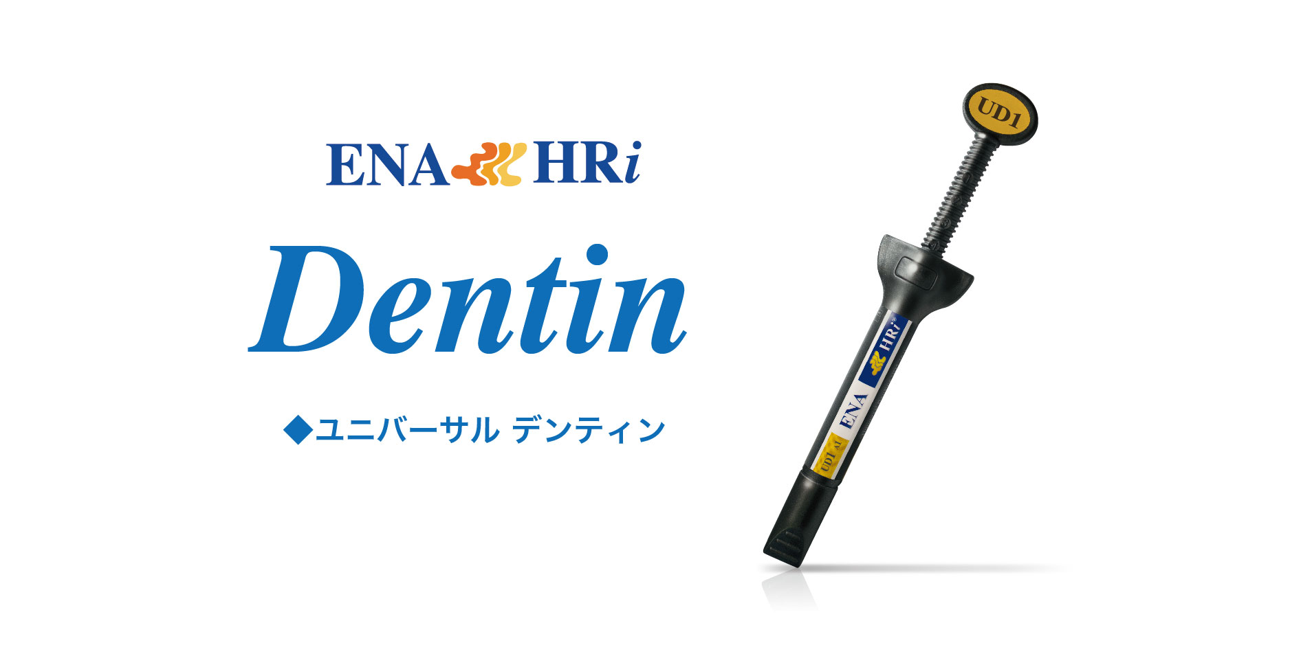 dentin